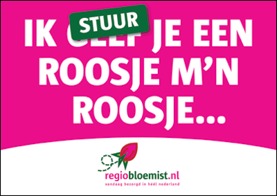 Roosje mijn roosje zakelijke flyer